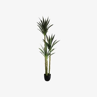 The Range Artificial Triple Trunk Yucca Tree - Green
