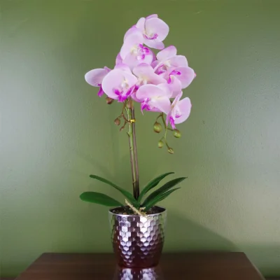 The Range Realistic Artificial Orchid Plants Fully Potted - Light Pink Silver / 1.0 / Silver honeycomb