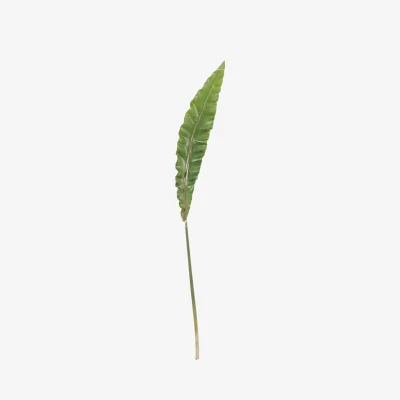 The Range Asplenium Leaf 2 Pack Green Artificial Flowers - Green