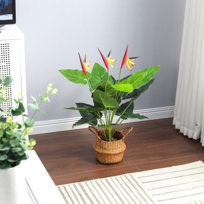 The Range 75cm Artificial Potted Bird of Paradise Palm Tree - Green