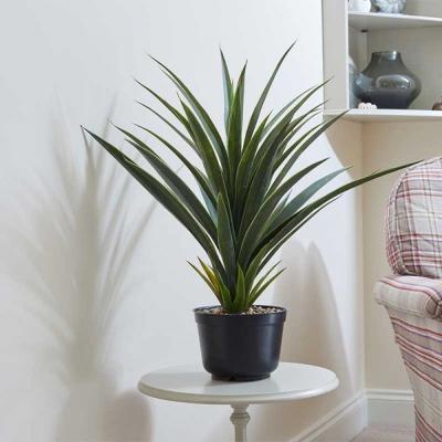 The Range Spiky Sisal Artificial Plant  - Green