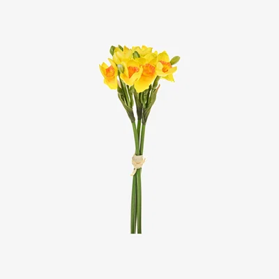 The Range Daffodil Bundle Of Flowers - Green
