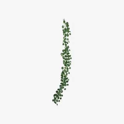 The Range Artificial Green Eucalyptus Garland - 183cm