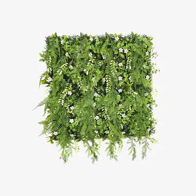 The Range Evervine - Evervine / Evervine