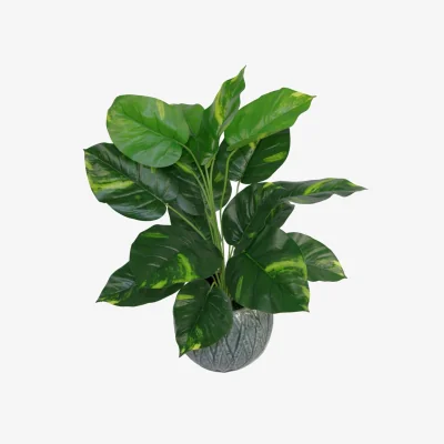 The Range Leaf Design Realistic Large Devil Ivy Artificial Plant - Devil's Ivy