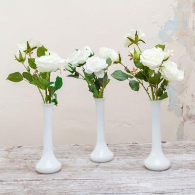 The Range Set of 3 Roses in Tall Decanter Vases - White and Green