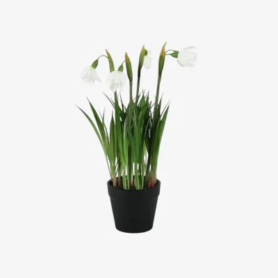 The Range Artificial Snowdrop Potted Plant 26cm - White