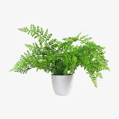 The Range Artificial Potted Royal Fern - Green