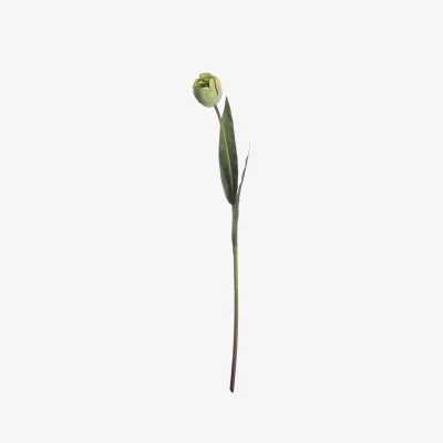 The Range Green Tulip Artificial Flower Stem - White