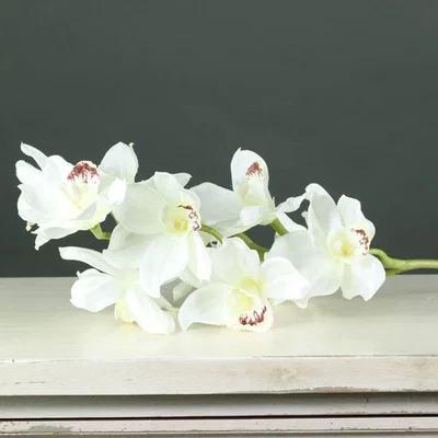 The Range Artificial Silk Cymbidium Orchid Stem 78 cm - White