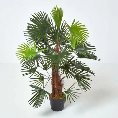 The Range Homescapes Green 'Lady Palm' Tree Artificial Rhapis Plant with Pot, 90 cm - Green
