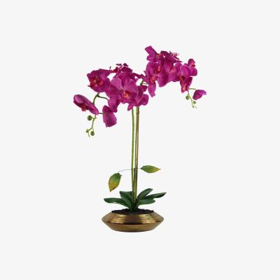 The Range Artificial Orchid Dark Pink Gold Dish Ceramic Planter - Pink