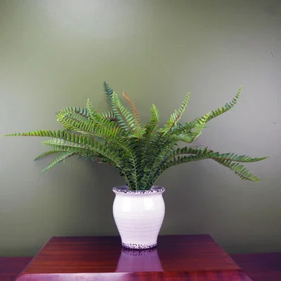The Range Artificial Bushy Fern Potted in Decorative Planter - Green