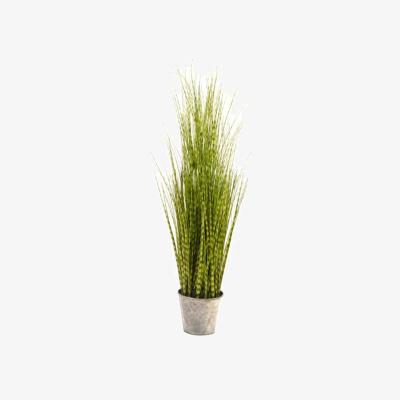 The Range Large Artificial Potted Plant Faux Zebra Grass - Green,Silver