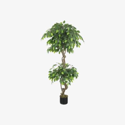 The Range Artificial Twisted Ficus Tree - Green