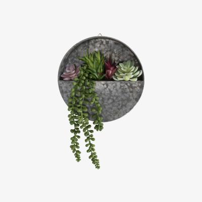 The Range Succulent Wall Hanging