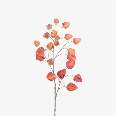 The Range Autumn Physalis Faux Stem