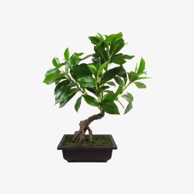 The Range Artificial Ficus Large Leaf Bonsai Tree - Green
