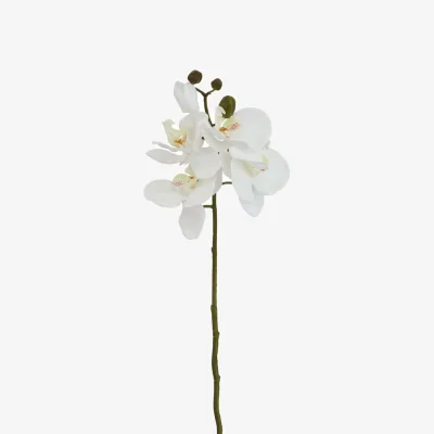 The Range Set of 3 Butterfly Orchid Artificial Flower Stems - White