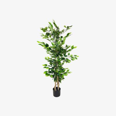 The Range Ficus Tree with Natural Trunk Artificial  - Green