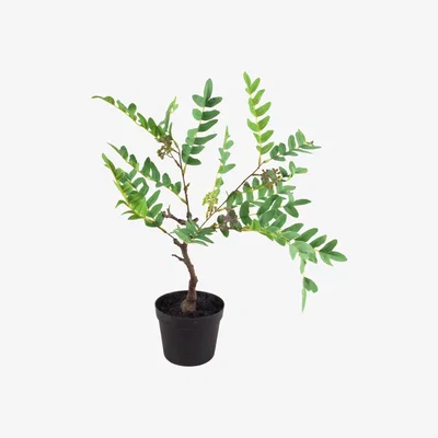 The Range Artificial Evergreen Foliage Plant Berries - Green