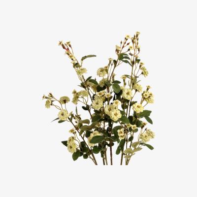 The Range Floral Delight Wild Meadow Rose  - Green