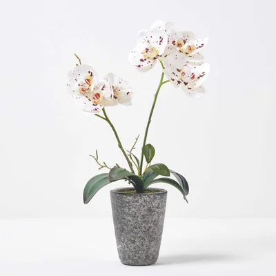 The Range Homescapes 38cm Lifelike Artificial White Orchid in Grey Cement Pot - White