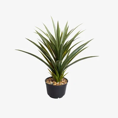 The Range Artificial Spiky Sisal Plant  - Green,Black