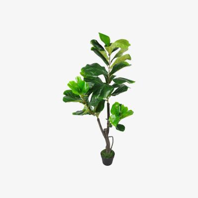 The Range Large Artificial Fiddle Fig Tree Ficus Lyrata Plant - Green / 50cm