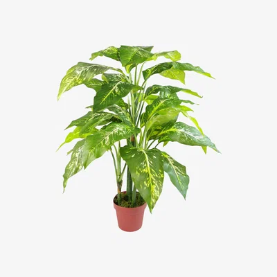 The Range Large Fox's Aglaonema (Spotted Evergreen) Tree Artificial Plant - Green