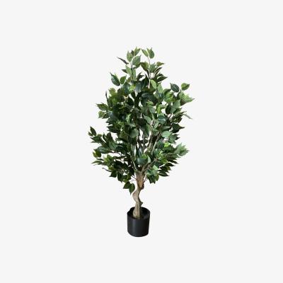 The Range Premium Artificial Ficus Twist Tree - Green