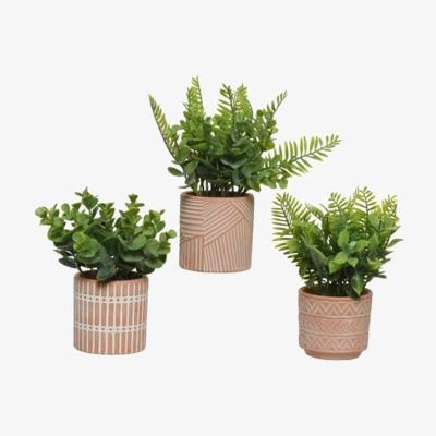 The Range Set Of 3 Artificial Plants With Patterned Pots - Green