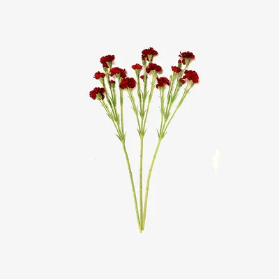 The Range Artificial Carnation Stems - Red