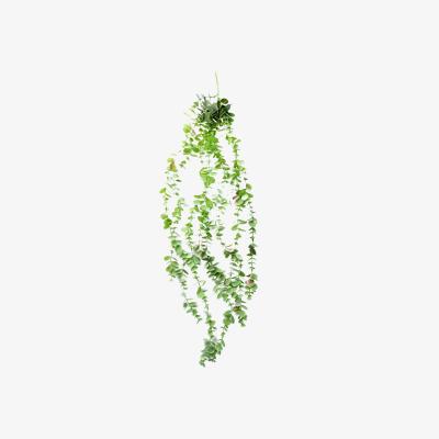 The Range Artificial Hanging Trailing Eucalyptus Plant - Green