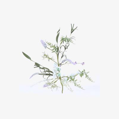 The Range Lavendar Pick