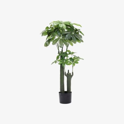 The Range Natural Looking Artificial Plumeria Tree 190cm Tall - Green