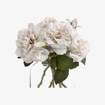 The Range Elegant Accent Short Stem Rose - White