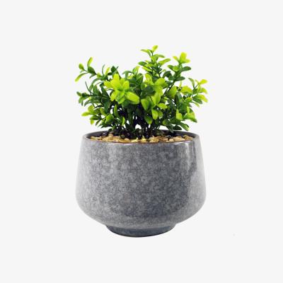 The Range Ceramic Tall Blue Planter Artificial Crassula Plant - Green