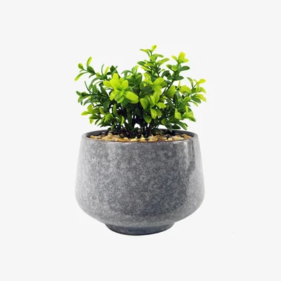 The Range Ceramic Tall Blue Planter Artificial Crassula Plant - Green