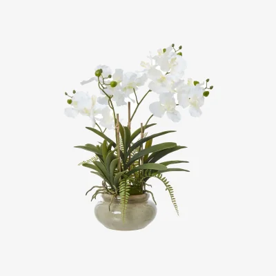 The Range Vanda Orchid Artificial Plant in Glossy Ceramic Pot - White