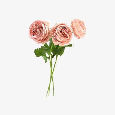 The Range Artificial Peony Flower Stems - Peach Pink