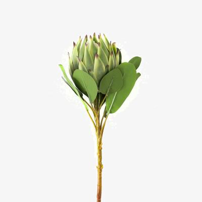 The Range Vibrant Floral Large Protea  - Green
