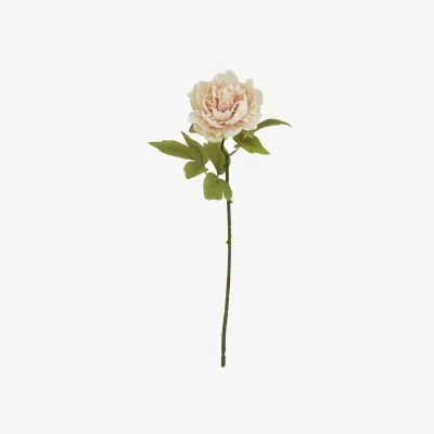 The Range The Natural Garden Collection Blush Peony Artificial Flower Stem - Baby Pink