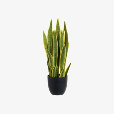 The Range Sansevieria Plant Green Artificial Flowers - Green