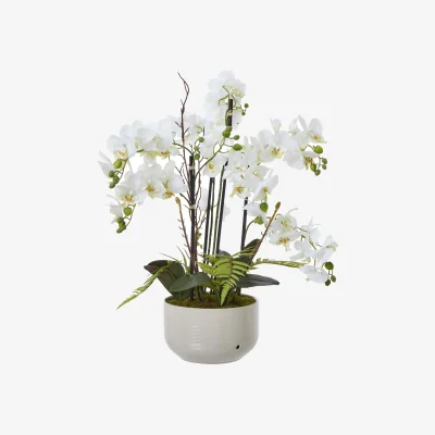 The Range Large White Orchid In Ceramic Pot Artificial Flower Stem - White