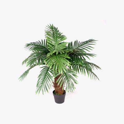 The Range Palm Tree Brown Trunk - Green