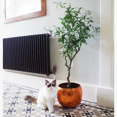 The Range Artificial Olive Tree Natural Style - Green