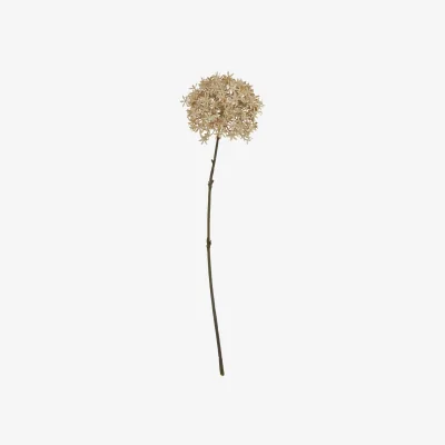 The Range Coffee Allium Artificial Flower Stems Set of 3 - Brown