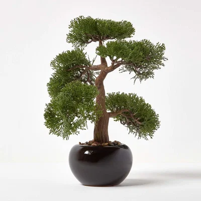 The Range Homescapes Artificial Bonsai Tree in Black Ceramic Pot - Green