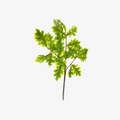 The Range Pack of 3 Oak Tree Leaf Sprays - Green